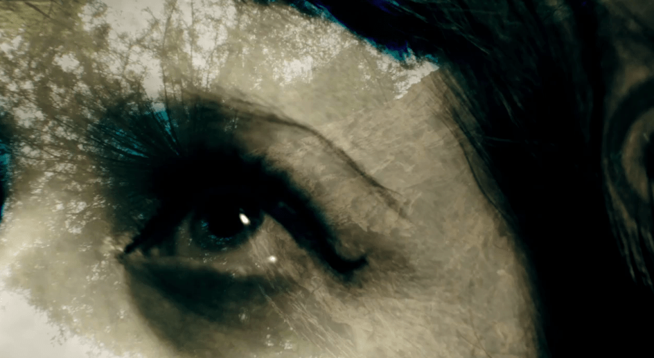 dark star, dream circle